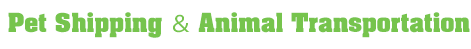 Pet Shipping ＆ Animal Transportation